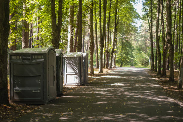 Best Sanitation services for porta potties  in Park Rapids, MN